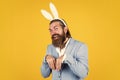 well groomed man in wedding formalwear and bunny ears has beard, happy easter