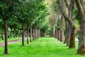 Well groomed park with symmetrically planted trees in a row.