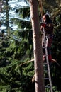 Well, Holland - 02/25/2018: Tree pruner doing his work Royalty Free Stock Photo