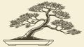 Well-kept bonsai tree in a rectangular pot vector icon, vector design Generative AI Royalty Free Stock Photo