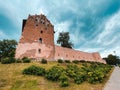 Ruins of the Castle in DziaÃâdowo, Poland