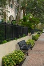 Well kept sidewalk in Fort Lauderdale