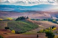 Well known Tuscany landscape with grain fields, cypress trees and houses on the hills at sunset. Summer rural landscape with Royalty Free Stock Photo