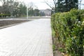 A well landscaped hedge of bushes boxwood, background. Outdoor, spring Royalty Free Stock Photo