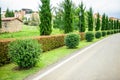 A well landscaped and manicured hedge of bushes