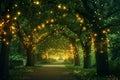 A well-lit pathway that meanders through a row of trees dressed in twinkling lights, creating a magical ambiance, Glowing tree Royalty Free Stock Photo