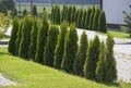 Well maintained formal garden with a path of small stones, hedgerow and green lawn. Royalty Free Stock Photo