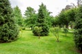 Well maintained garden with a green lawn and small bushes.