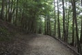 Well maintained hiking path Royalty Free Stock Photo