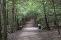 Well maintained hiking path Royalty Free Stock Photo