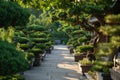 A well-maintained walkway with a row of potted plants and trees on either side, Park scene featuring an alley with beautifully