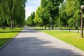 well-paved walking pathways in a public park