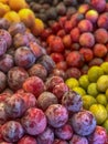 Well Picked Plums in Display