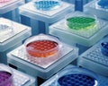 96 well plate with samples for biological analysis. Royalty Free Stock Photo