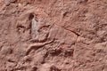 Dinosaur tracks, outside Moab, Utah, USA Royalty Free Stock Photo