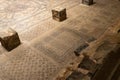 A well-preserved mosaic on the floor of a ruined synagogue in the settlement of Beit Alfa - kibutz Heftziba, in the Jordanian