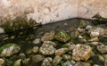 Well-preserved remains of the ritual Jewish bath for bathing - mikveh, in the ruins of the outer part of the palace of King Herod