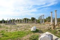 Well preserved ruins of ancient city Salamis in Northern Cyprus taken on a beautiful sunny day Royalty Free Stock Photo