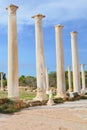 Well preserved ruins of ancient Greek city Salamis near Famagusta in Northern Cyprus. The Corinthian columns were part of Salamis