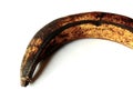 Horn Banana [ Pisang Tanduk ]