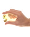 Well shaped male hand with usd gold symbol