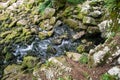 Well  source of the Grza river in Serbia Royalty Free Stock Photo