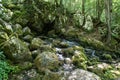 Well  source of the Grza river in Serbia Royalty Free Stock Photo