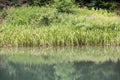 Well  source of the Grza river in Serbia Royalty Free Stock Photo