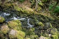 Well  source of the Grza river in Serbia Royalty Free Stock Photo