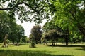 Well Street Common park is a park in Hackney district in East London England United Kingdom Royalty Free Stock Photo