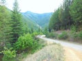 A well-traveled path near Kellogg, Idaho gently curves between green pine-covered mountainsides