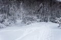 Well Travelled Paths in Snow