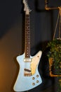 A well used looking Theta guitar hangs on a wall next to a lightbulb and plant