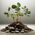 Wellbeing and wealth of sprout of money tree among coins. Growing plant on gold coins.