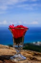 wellcome drink : Cold water and red flower in clear glass on blue sky background