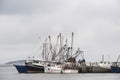 Wellfleet Harbor fishing boats