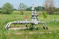 Wellhead in the oil and gas industry