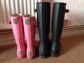 Wellies boots Royalty Free Stock Photo