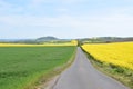 Welling, Germany - 05 09 2021: dirt road between green and yellow blooming fields Royalty Free Stock Photo