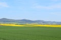 Welling, Germany - 05 09 2021: green and yellow fields with Flugplatz Mendig in the background Royalty Free Stock Photo