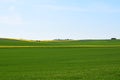 Welling, Germany - 05 09 2021: green and yellow fields like stripes on the hill Royalty Free Stock Photo