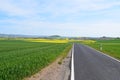 Welling, Germany - 05 09 2021: small road through green grain and yellow oilseed fields Royalty Free Stock Photo
