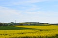 Welling, Germany - 05 09 2021: yellow fields with some green grain and trees Royalty Free Stock Photo