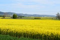 Welling, Germany - 05 09 2021: yellow fields in the valley towards Flugplatz Mendig and Kruft Royalty Free Stock Photo