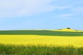 Welling, Germany - 05 09 2021: green and yellow fields up the hill Royalty Free Stock Photo