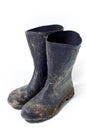 Wellington boots