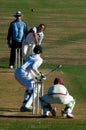 People play cricket Royalty Free Stock Photo