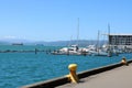 Wellington harbour and Clyde Quay Wharf New Zealand