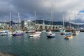 Wellington Harbour with sailing boats