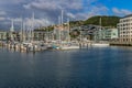 Wellington Harbour with sailing boats